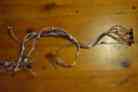9759591 Kenmore Wiring Oven Harness Main Range