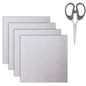 Asnomy 724779179438 4 Pieces Waveguide Cover Mica 13 X Cm With Scissor Translucent Silvery
