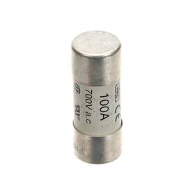 0ca148 Electrolux Professional Fuse 700v 100a 22x58 - Genuine Oem Replacement