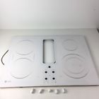 Jp989tk1ww Ge White Replacement Glass Only For Profile Knobs