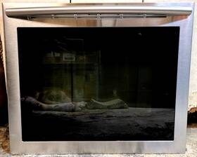 Oem17903207 Samsung Dg94-01116b Range Oven Door Assembly