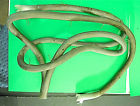 Wp10162385 W10162385 Unbranded Whirlpool Range Door Gasket Part