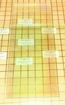 Dacor Inner Oven Door Glass Panel 82213, 82218, 82220. Fixed Price $48.95.