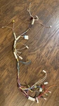EAD61850515 Lg Range Wiring Harness Oem. Fixed Price $38.25.