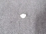 74002760 Maytag Range Oven Burner Knob. Fixed Price $8.00.
