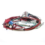 DG96-00809B Samsung Electric Range Main Wire Harness. Fixed Price $60.00.