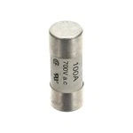 Fuse 700V 100A 22X58 For Electrolux ELX0CA148. Fixed Price $124.66.