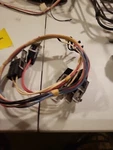 Range Oven Surface Element Wire Harness From Mod 317B6641P001 Stove. Fixed Price $30.00.
