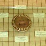 Dcs CP364GD Range/cooktop Burner Port Ring 237631. Fixed Price $39.95.