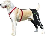 Rear Braces Dogs Luxating Patella Joint Pain Knee Both Legs Large. Fixed Price $66.97.
