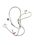 Oem Whirlpool WP3191334 Cooktop Harness Wire 504205 AH339481 EA339481 - B66. Fixed Price $64.97.