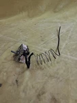 Range Thermostat WB20K3 Free Shipping. Fixed Price $37.99.