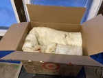 Whirlpool 74008380 Jenn Air JMW9527DAB Built Oven Insulation Genuine Oem. Fixed Price $75.00.