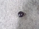 316223002 Frigidaire Range Oven Control Knob. Fixed Price $6.00.