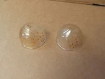 Kenmore Frigidaire Range Light Lens/cover (lot Of 2) Part# 08011086 5304524341. Fixed Price $17.98.