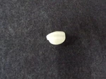 WB03X24083 Range Oven Control Knob. Fixed Price $8.00.