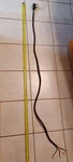6' 4 Prong 220 Dryer Cord Utilitech. Fixed Price $10.00.