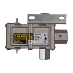 WB21X20474 Range Safety Valve Dual. Fixed Price $139.54.