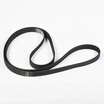 Oem Drum Drive Belt For Frigidaire FWT645RHS1 GLTR1670AS0 FTF530ES0 GLTF1670AS0. Fixed Price $35.91.