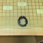 Range Burner Knob Bezel With Lens WB07X10482, WB7X10482, WB25X10009. Fixed Price $19.95.