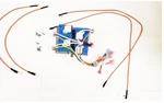 Bluestar CSK-1000078 Spark Module Assembly, Defendi, 4 Point (5). Fixed Price $189.99.