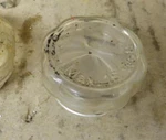 Whirlpool Range Light Lens Part # W10067870. Fixed Price $22.48.