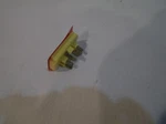 Whirlpool Maytag Jenn-air Amana Oem Light Indicator 74007880 0307442, 0312906. Fixed Price $23.00.