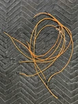 Oem Monogram Cooktop Orange Ignitor Wire Kit WB18X10338. Fixed Price $169.99.