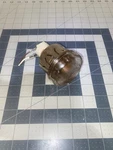 71001866 Whirlpool Co Oven Socket Bulb Lense. Fixed Price $35.00.