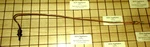 Gaggenau Range Burner 18"THERMOCOUPLE 00155952, 00320677, 419850. Fixed Price $69.95.