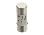 Electrolux Professional 0CA148 Appliance Fuse, 700V 100A, 22X58. Fixed Price $114.01.