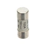 Electrolux Professional Fuse, 700V 100A, 22X58 0CA148 - Genuine Oem Replacement. Fixed Price $65.19.