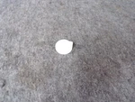 W10154955 Whirlpool Range Oven Knob. Fixed Price $8.00.
